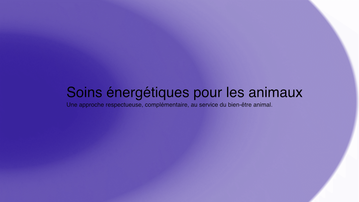 Soin énergétique pour animaux