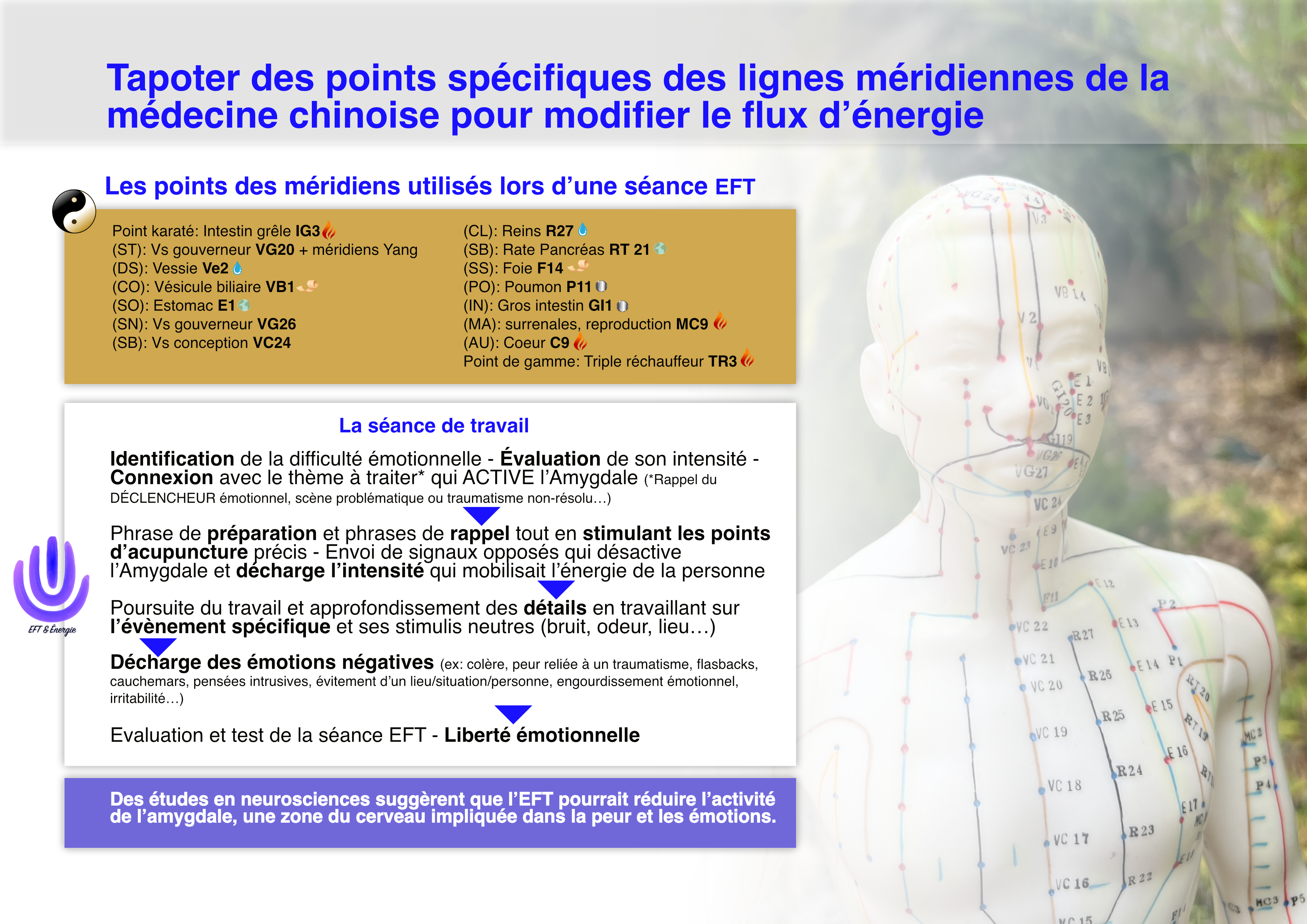 EFT à Troyes - Efficacité et bénéfices thérapeutiques de la séance EFT & Énergie - Libération des émotions - Séquence de stimulation des point d'acupuncture et verbalisation - Modifier son énergie avec Avahana