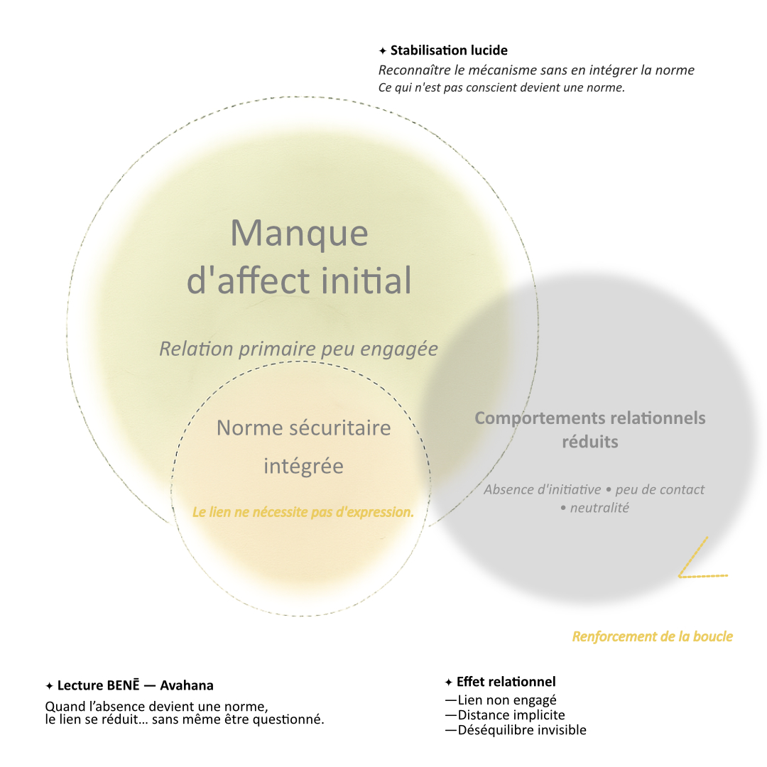Schéma illustrant comment un manque d'affect initial peut devenir une norme intégrée influençant les comportements relationnels et entretenir certaines boucles de fonctionnement.