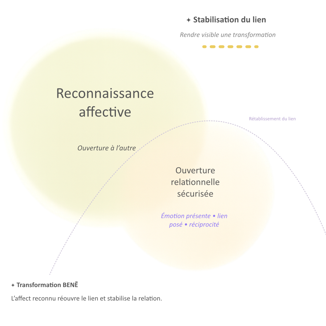 Schéma de transformation relationnelle montrant l'impact de la reconnaissance affective sur l'ouverture à l'autre, le rétablissement du lien et la stabilisation relationnelle.