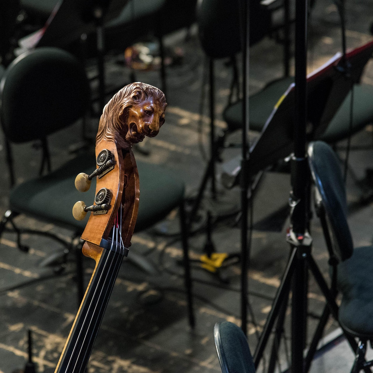 Contrebasse au sein d’un orchestre symbolisant la synchronisation, la cohérence et l’ajustement des dynamiques internes.