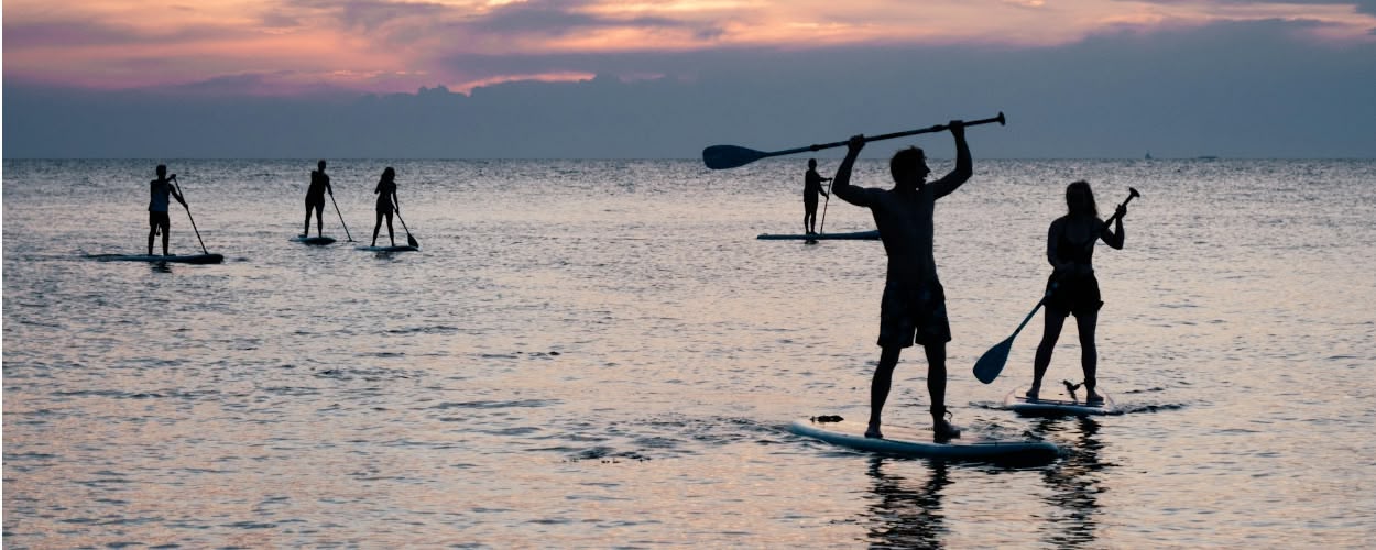 Paddles avançant sur une eau paisible au coucher du soleil, métaphore de l'adaptation, de la régulation et de l'accordance nécessaires à une performance durable.