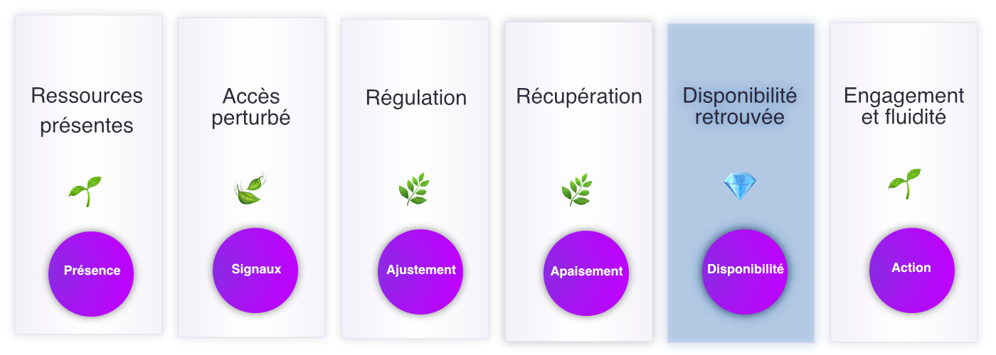 Infographie présentant les étapes de la disponibilité des ressources : ressources présentes, signaux d'un accès perturbé, ajustement, apaisement, disponibilité retrouvée et retour à l'engagement dans l'action.