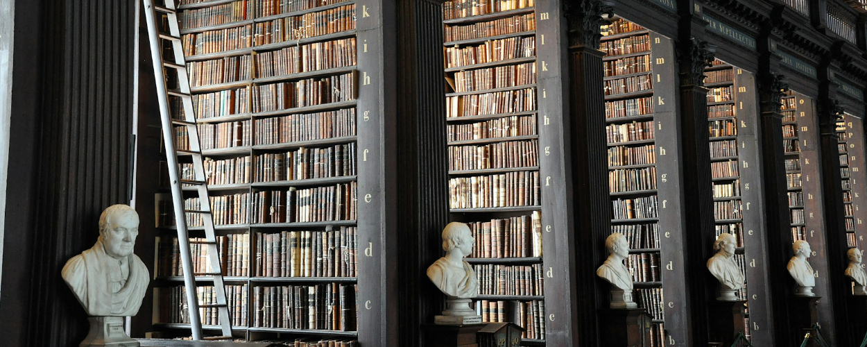 Grande bibliothèque remplie d'ouvrages illustrant la mise en relation d'informations et la construction progressive du sens.
