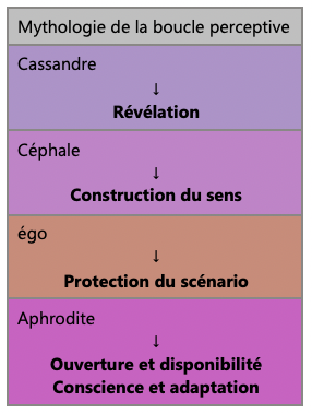 Schéma illustrant la mythologie de la boucle perceptive à travers Cassandre, Céphale, l'égo et Aphrodite, représentant respectivement la révélation, la construction du sens, la protection du scénario et l'ouverture de la conscience.