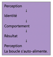 Schéma représentant un cycle entre perception, identité, comportement, résultat et nouvelle perception, illustrant la manière dont certaines représentations de soi peuvent se renforcer au fil des expériences.