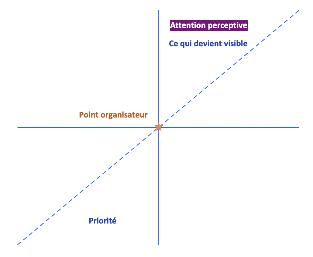 Schéma représentant un point organisateur qui influence les priorités perceptives et oriente l'attention vers certaines informations devenant progressivement plus visibles.