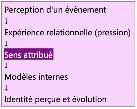 Schéma montrant comment la perception d'un événement influence le sens attribué, les modèles internes et l'évolution de l'identité perçue.