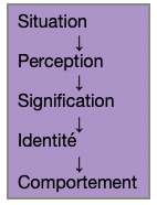 Schéma illustrant le passage d'une situation à un comportement à travers la perception, la signification et l'identité.