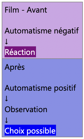 Schéma comparant une réaction automatique liée à un ancien automatisme et une posture d'observation permettant davantage de choix.