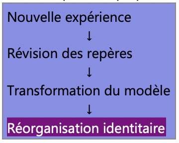 Schéma illustrant un processus de rigidification : une nouvelle expérience est rencontrée, mais les repères existants ne sont pas révisés. Le modèle interne est maintenu, ce qui contribue à augmenter l'écart entre l'expérience vécue et l'organisation perceptive existante.