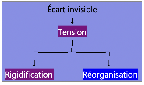 Schéma montrant comment l'écart invisible peut générer une tension conduisant soit à une rigidification, soit à une réorganisation.