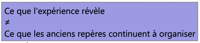 Schéma illustrant la tension entre ce que l'expérience révèle et ce que les anciens repères continuent à organiser.