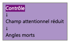 Schéma illustrant comment une recherche excessive de contrôle peut réduire le champ attentionnel et favoriser l'apparition d'angles morts perceptifs.