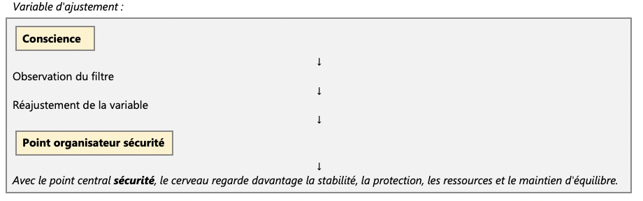 Schéma illustrant le rôle de la conscience dans l'observation des filtres perceptifs et le réajustement d'un point organisateur orienté vers la sécurité.