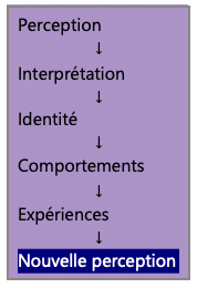 Schéma illustrant la boucle perceptive entre perception, interprétation, identité, comportements, expériences et nouvelle perception.