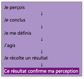 Schéma illustrant une boucle de fermeture où une perception conduit à une conclusion, façonne l'identité, influence les actions puis produit un résultat qui confirme la perception initiale.