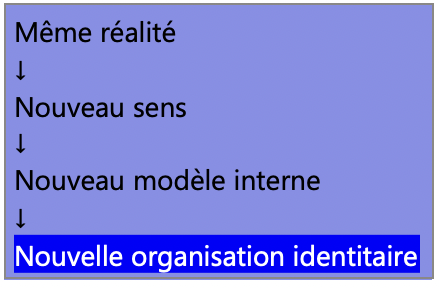 Schéma montrant comment une même réalité peut conduire à un nouveau sens, un nouveau modèle interne et une nouvelle organisation identitaire.